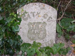 Winchester Borough Stone, Weeke