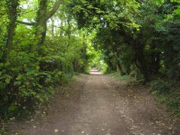 Lanham Lane Bridleway, Weeke