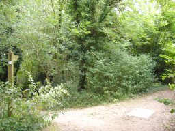 Lanham Lane JCT with Clarendon Way, Weeke